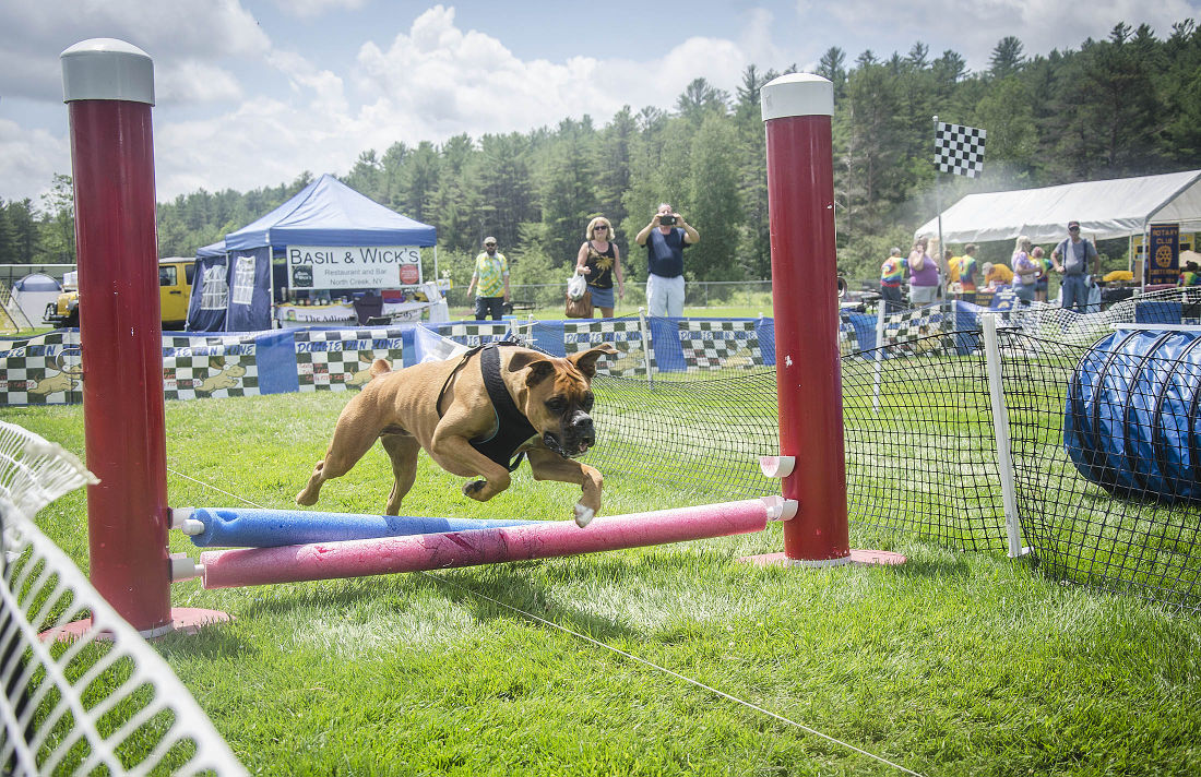 062215-nws-woofstock10.jpg